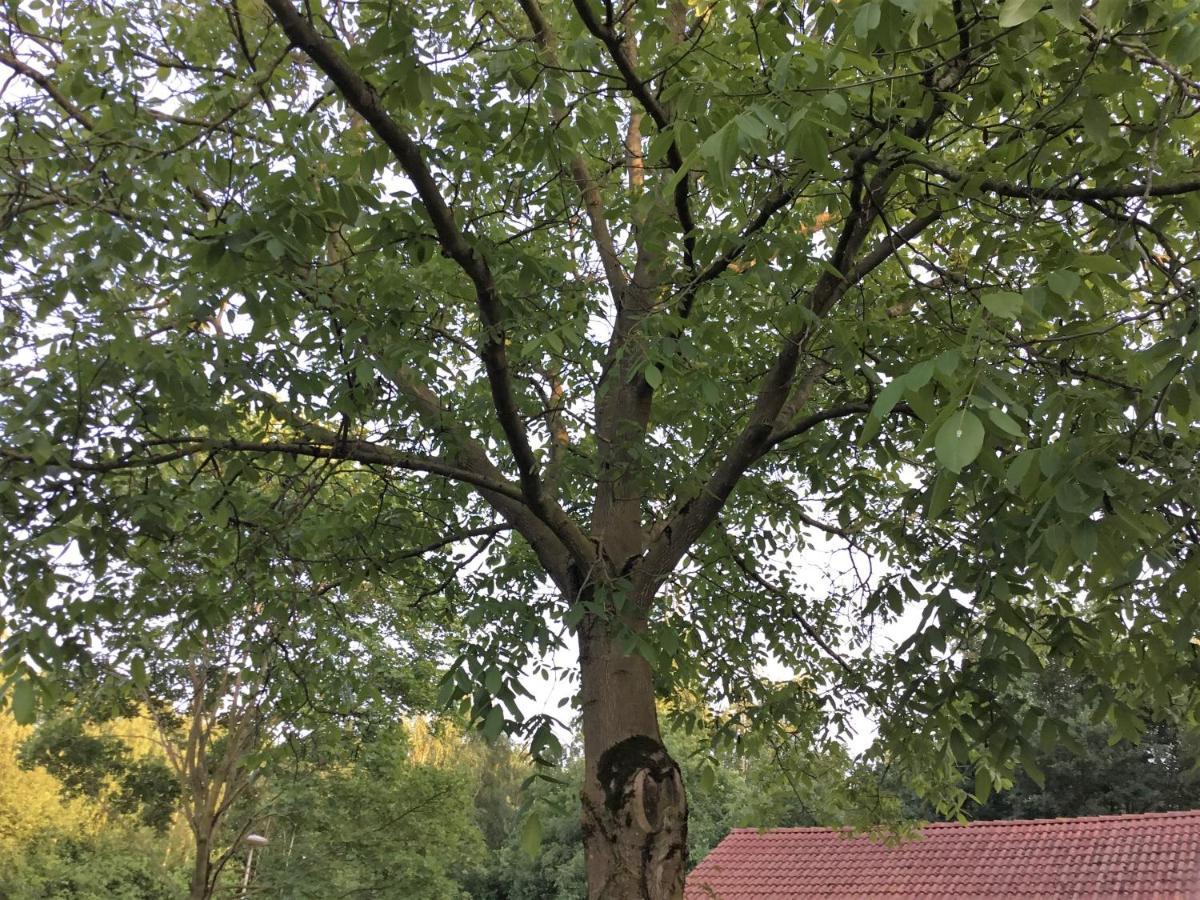 B&B Op 'T Eikenschoor Soerendonk 외부 사진
